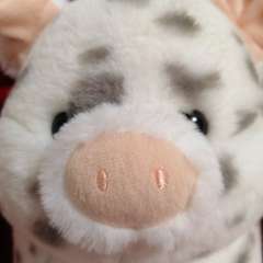 Фото отзыва 10866015