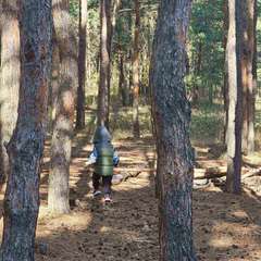 Фото отзыва 10582758