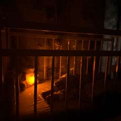 Фото отзыва 10540985