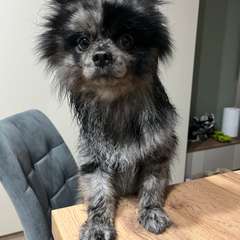 Фото отзыва 10986498