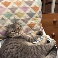 Фото отзыва 11054765