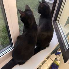 Фото отзыва 10441413