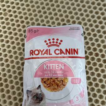 Корм влажный для котят ROYAL CANIN Kitten Instictive 85г желе пауч 77850: отзыв пользователя. Зоомагазин Зоозавр