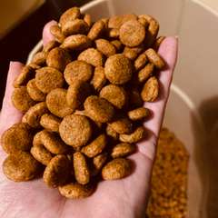 Фото отзыва 10566475