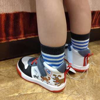 Ботинки Tombi: отзыв пользователя Детский Мир