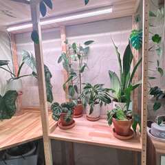 Фото отзыва 2942