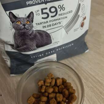 Корм для кошек ROYAL CANIN Dental Care для профилактики образования зубного налета и зубного камня 1.5кг: отзыв пользователя. Зоомагазин Зоозавр