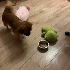 Фото отзыва 10453452