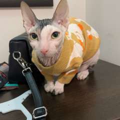 Фото отзыва 10659089