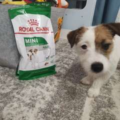 Фото отзыва 10787924