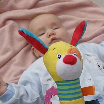 Игрушка BabyGo погремушка Собачка: отзыв пользователя ДетМир