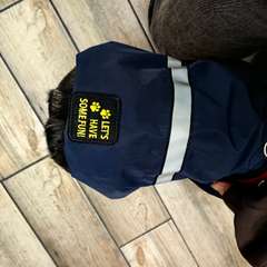 Фото отзыва 10429596