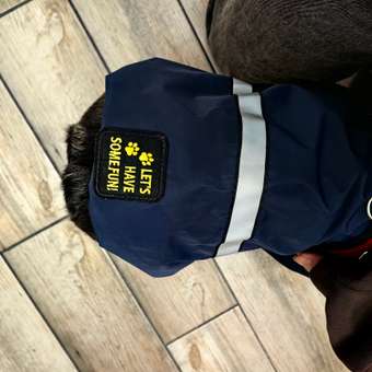 Дождевик-куртка для собак Зоозавр темно-синяя 45: отзыв пользователя. Зоомагазин Зоозавр