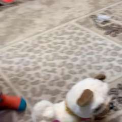 Видео отзыва 8406887