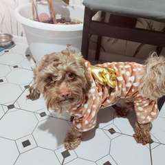 Фото отзыва 10853085