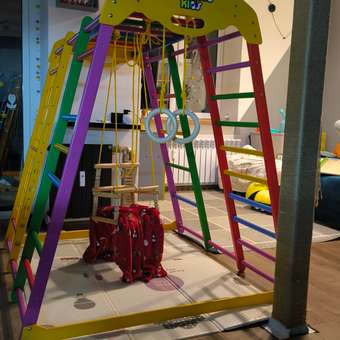 Детский спортивный комплекс Perfetto Sport Pappagallo, цвет Allegrо, модель PS-231: отзыв пользователя Детский Мир