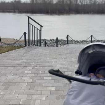 Коляска прогулочная Babyton Urban Plus Grey: отзыв пользователя Детский Мир