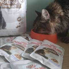 Фото отзыва 10528577