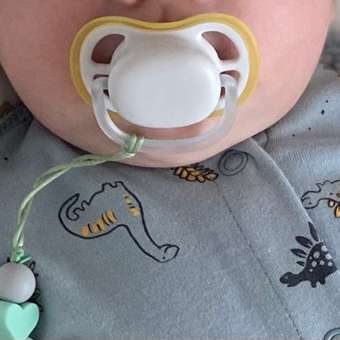 Пустышка Philips Avent силикон ортодонтическая от 0 мес. 2 шт.: отзыв пользователя ДетМир