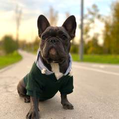 Фото отзыва 10334531