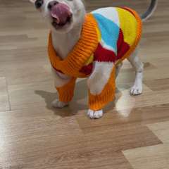 Фото отзыва 10784043