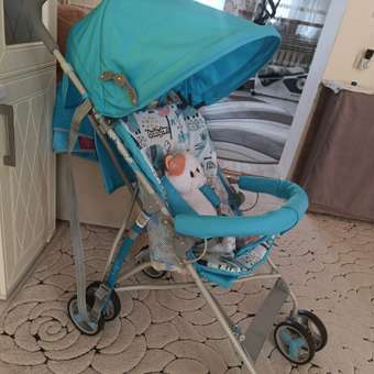 Коляска прогулочная Babyton Light голубой: отзыв пользователя ДетМир