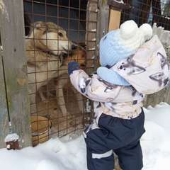 Фото отзыва 10673039