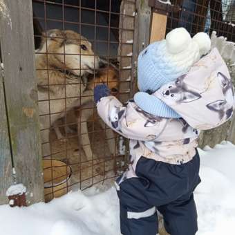 Комбинезон BabyGо: отзыв пользователя ДетМир