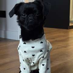 Фото отзыва 10948137