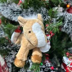 Фото отзыва 11117564