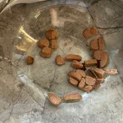 Фото отзыва 10707750