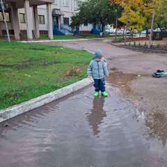 Фото отзыва 10486602