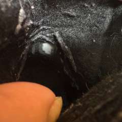 Фото отзыва 7845796