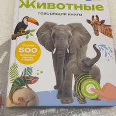 Видео отзыва 9699821