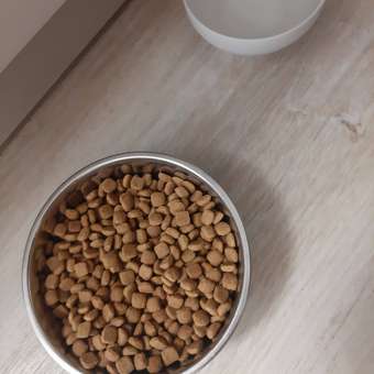 Корм для кошек ROYAL CANIN Gastro Intestinal Hairball Control лечение ЖКТ 2кг: отзыв пользователя. Зоомагазин Зоозавр