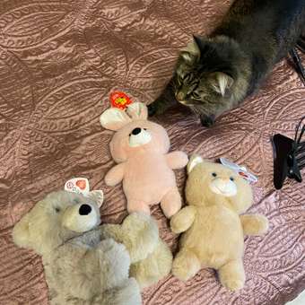 Мягкая игрушка Abtoys: отзыв пользователя Детский Мир