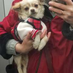 Фото отзыва 11007323