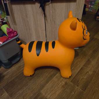 Фитбол Altacto: отзыв пользователя Детский Мир