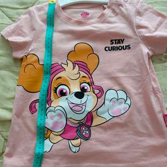 Футболка Paw Patrol: отзыв пользователя ДетМир