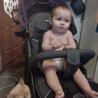 Коляска прогулочная Babyton Comfort Plus Purple фиолетовый: отзыв пользователя ДетМир