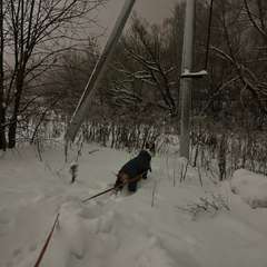 Фото отзыва 10931723