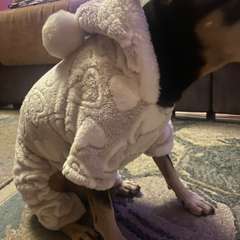 Фото отзыва 10763159