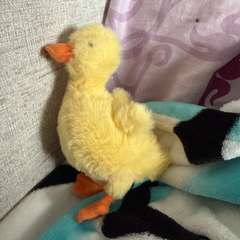 Фото отзыва 11025071