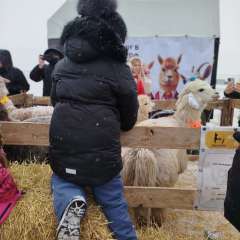 Фото отзыва 8826282