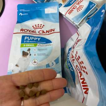 Корм для щенков ROYAL CANIN X-small Puppy миниатюрных пород 500г: отзыв пользователя. Зоомагазин Зоозавр