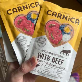 Корм для щенков CARNICA 400г паштет из говядины полнорационный консервированный: отзыв пользователя. Зоомагазин Зоозавр