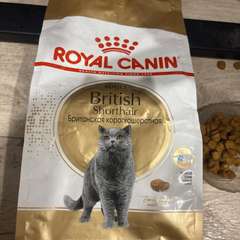 Фото отзыва 10533876