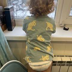 Фото отзыва 10902349