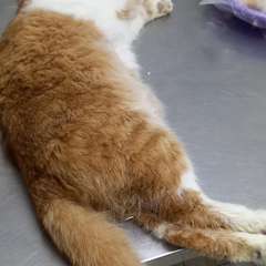 Фото отзыва 10798896