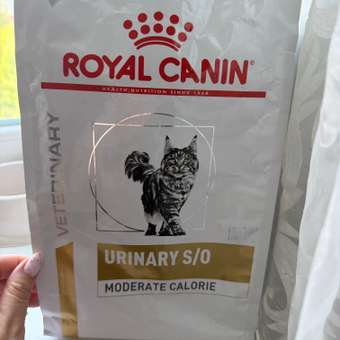 Корм для кошек ROYAL CANIN Veterinary Diet Urinary S/O Moderate Calorie Лечение и профилактика МКБ 1.5кг: отзыв пользователя. Зоомагазин Зоозавр